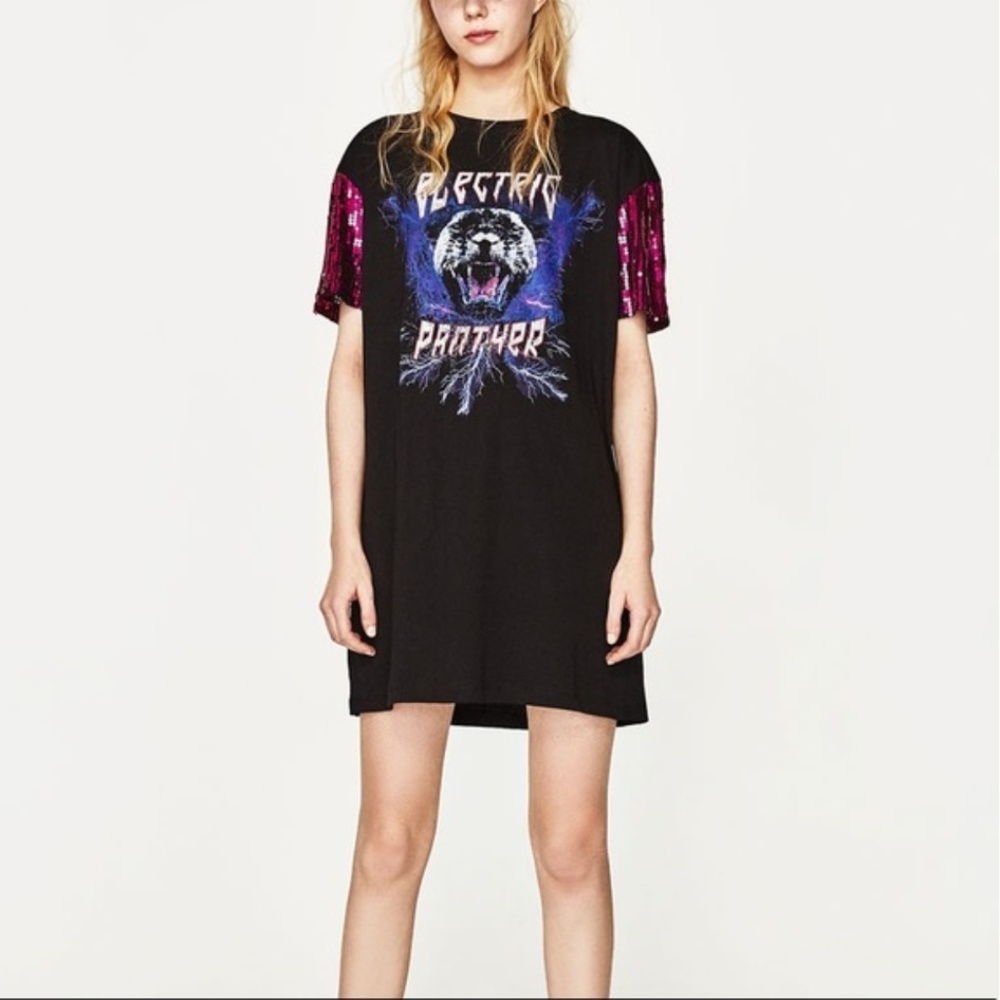 Zara Dress With Sequin Sleeves